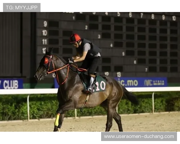 澳门赛马网站安全保障，保障用户信息安全的澳门赛马官方平台安全措施详解