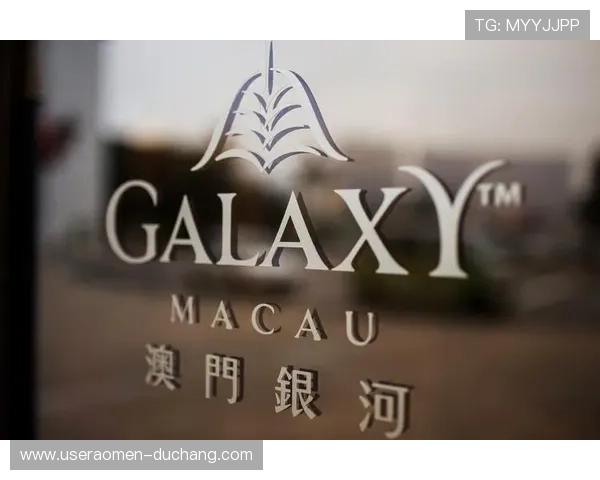 澳门银河娱乐集团有限公司旗下主要品牌与产品介绍，满足玩家多样化娱乐需求的详细指南