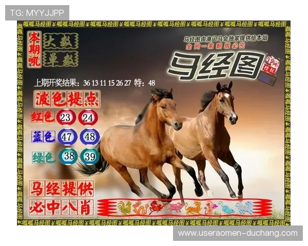 2024马会投注网址官方最新发布，稳定安全值得信赖