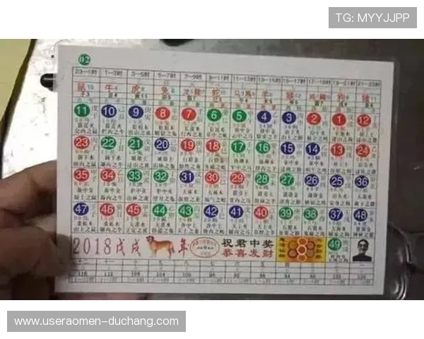 如何在六合彩真人国际平台上进行高效投注，提升中奖几率的实用攻略