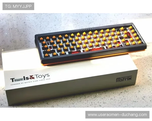 安博官方旗舰店提供专业的游戏设备安装与调试服务，轻松享受极致体验