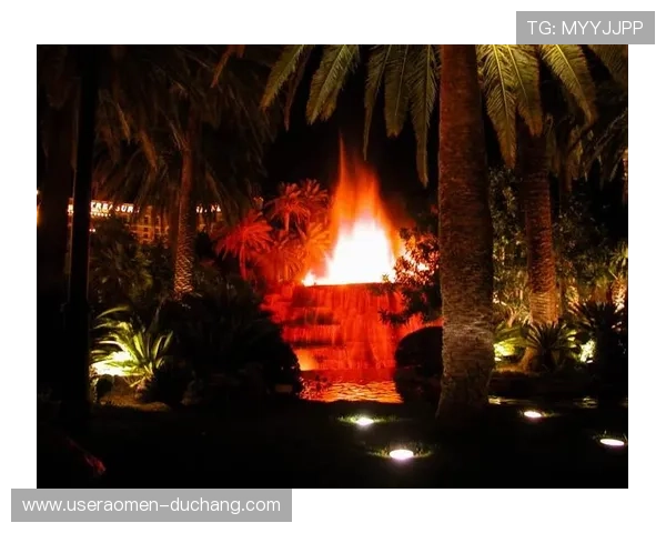 拉斯维加斯赌场夜生活体验：最佳夜场、表演与娱乐活动全攻略