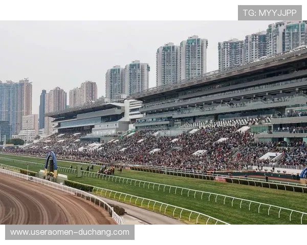 利用hkjc网站掌握最新赛马比赛信息的实用技巧 利用hkjc网站掌握最新赛马比赛信息的实用技巧