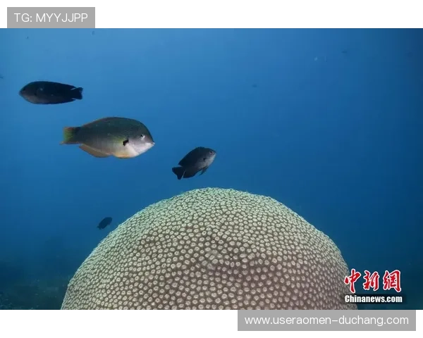 海洋之神在不同文化中的形象与崇拜方式深入分析与研究揭秘