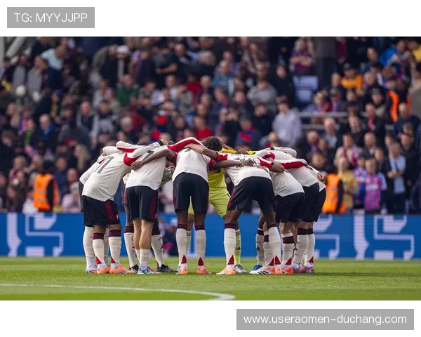 水晶宫队在足球文化中的地位与粉丝群体分析