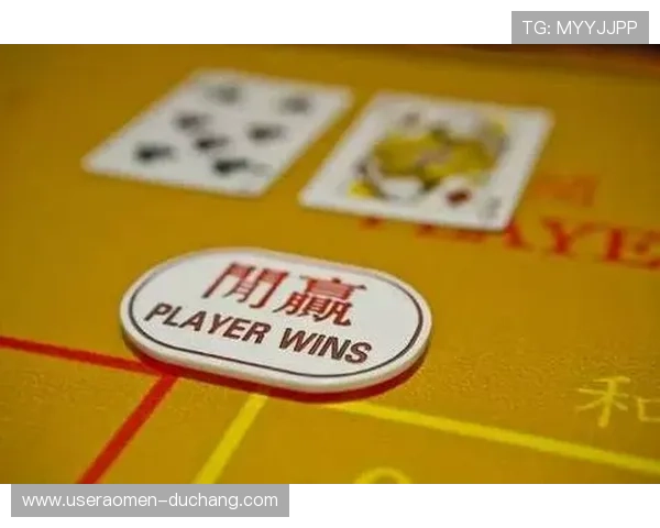 澳门博彩官网入口2024最新版本，确保玩家安全稳定的在线博彩体验指南