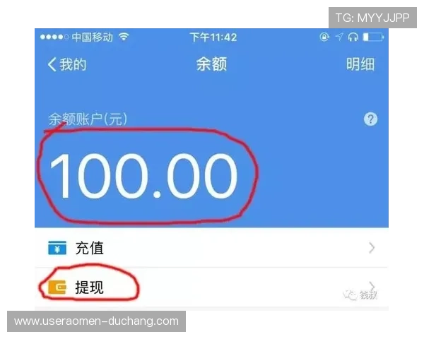 爱游戏真人电子娱乐官方网站支持多种支付方式确保充值提现便捷快速 爱游戏真人电子娱乐官方网站支持多种支付方式确保充值提现便捷快速